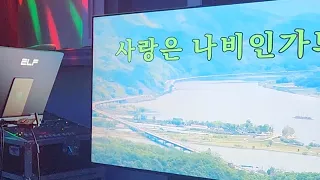 사랑은 나비인가봐(현철). 테너색소폰.[신청곡]