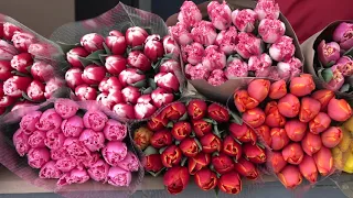 Мимоза или тюльпаны? Цветочный базар открылся в центре столицы