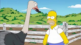 Homer gegen die Gans - Besten Szenen #5 Die Simpsons auf Deutsch