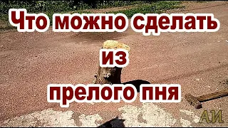 Что можно сделать из прелого пня.