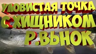 ОПАСНО БОЛЬШАЯ ЩУКА !!! ВЬЮНОК УЛОВИСТАЯ ТОЧКА С ХИЩНИКОМ русская рыбалка 4