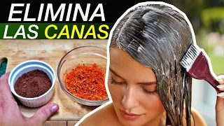 ¡Revelando el Secreto Natural para las Canas! Descubre el Poder de la Semilla de Aguacate