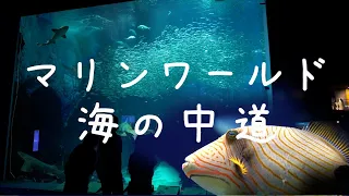 【福岡県水族館 4K】マリンワールド海の中道の散歩(立体音響ASMR)