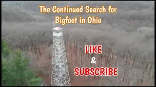 The Search for Bigfoot in Ohio