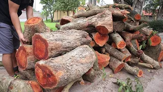 Extreme Peak Woodworking Skills: Idea Using Hardwood Trunks || Best Unique Woodworking Product Ever
