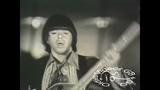 NEW * Pushin' Too Hard - The Seeds {Stereo} 1967