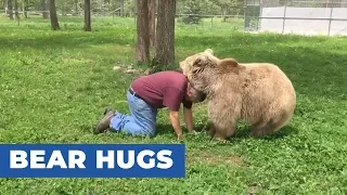 Bear Purrs Contentedly After Snuggling With Favorite Human