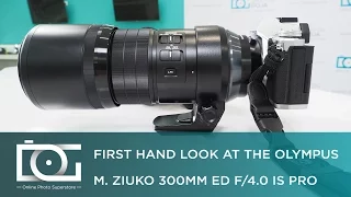 OLYMPUS 300mm F4 M.Zuiko Digital ED IS Telephoto Lens | REVIEW