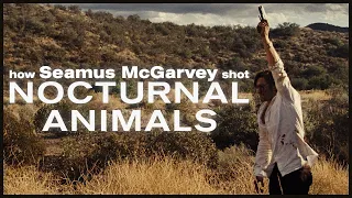 How Seamus McGarvey shot Nocturnal Animals