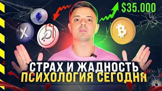 👺 АЛЬТКОИНЫ БУДУТ РАСТИ ВСЛЕД ЗА БИТКОИНОМ? СТРАХ И ЖАДНОСТЬ