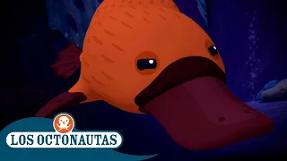 Los Octonautas - El ornitorrinco | Episodios Completos