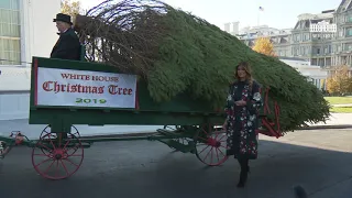 The First Lady Participates in the White House Christmas Tree Delivery