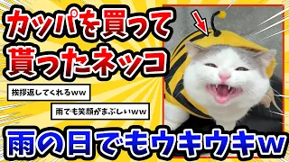 【2ch動物スレ】雨の日を待ってたネッコさんが新しいカッパでお出かけ→可愛すぎて悶絶www