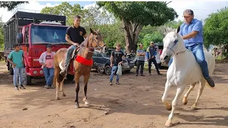 Feira de cavalos de Canafístula frei Damião, Alagoas. ás segunda feira