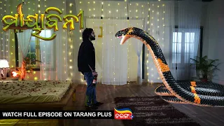 Mayabini | Ep 30 | 19th Nov 2022 | Watch Full Episode Now On Tarang Plus