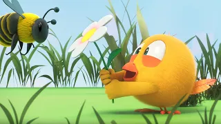 Where's Chicky? Funny Chicky 2023 | THE BEES | Cartoon in English for Kids | New episodes