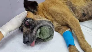 Ugly face with a massive tumor made her always chased away and ridiculed while silently suffer