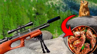Air Rifle Hunting Ground Squirrels Catch, Clean, & Cook