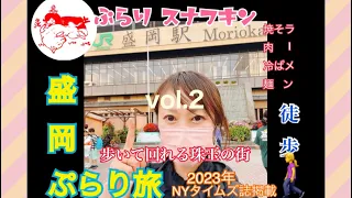 【ぷらり旅】盛岡市内を徒歩で探索【食べ歩き】#morioka #ラーメン #蕎麦 #焼肉冷麺 #食べ歩き#徒歩#japanesestreetfood