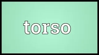 Torso Meaning