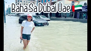 BAHA SA DUBAI UAE 🇦🇪