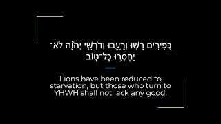 Psalm 34 Zabur/Tehillim Sephardi Hebrew Canting/Recitation with English
