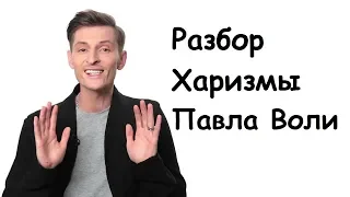 РАЗБОР ХАРИЗМЫ ПАВЛА ВОЛИ | 4 ВАЖНЫХ КАЧЕСТВА