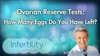 Ovarian Reserve Tests: How Many Eggs Do You Have Left?