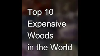 Top 10 Most Expensive Woods in the World