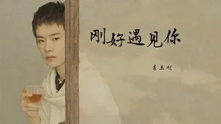 李玉刚 - 刚好遇见你『 動態歌詞』