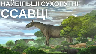 Шістнадцять дивовижних викопних решток: гриб-зомбі в бурштині, найдавніші губки та птерозавр-курка