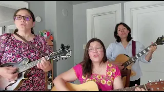 Eres tu mi sacerdote ( canción para un sacerdote). Con @triocuerdasdeamor1217