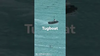 Tugboat 686