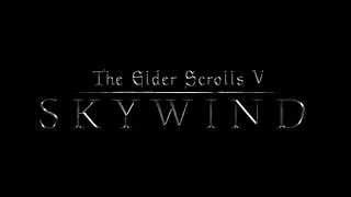 Elder Scrolls Skywind Soundtrack- Ambient OST (Depth Of Field Mix)