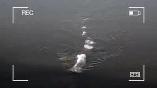 Is video of 'strange thing' in Alaska river a Loch Ness monster-like creature?