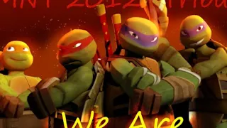 Teenage Mutant Ninja Turtles 10 Year Anniversary Tribute