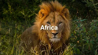 Africa - Adventure African Background Music (Travel Background Music)