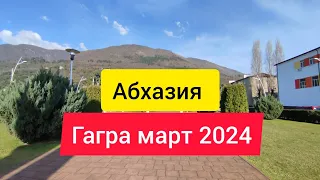 Осталась одна в Абхазии. Гагра погода в марте.   Временная регистрация в Абхазии. Абхазия 2024