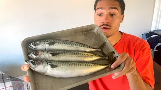 Filleting and Cooking The Smelliest But Tastiest fish. The Atlantic Mackerel~!