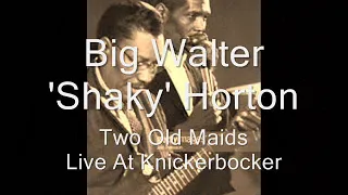 Big Walter Horton-Two Old Maids (Live At Knickerbocker)