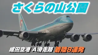 【4K】成田空港 さくらの山公園 Aラン 着陸８連発