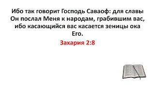 Библия, Ветхий Завет. Захария 2:8