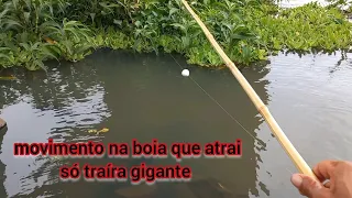 Inacreditável Essa Pescaria de traíra foi de tirar o fôlego esse sistema é mortal