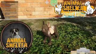 Getting 3 New Animals Adopted Out in Animal Shelter Simulator Puppies & Kittens DLC Episode #4
