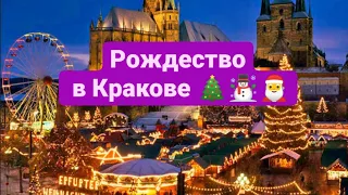 Рождество в Кракове #krakow #poland