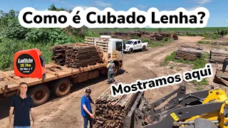 Como Cubicar Lenha, Método Esterio, M/ST, Veja Destino da Lenha no Mato Grosso.