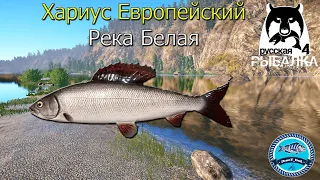 Хариус Европейский на реке Белая. Фарм. - Русская Рыбалка 4