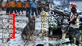 Noto Peninsula Earthquake　I want to find him somehow... Disaster rescue dog "Riku" tearful record.