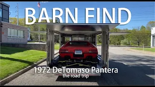 1972 DeTomaso BARN FIND - THE Road Trip #detomaso #pantera #barnfind