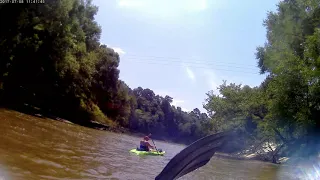 Leaf River Rapids